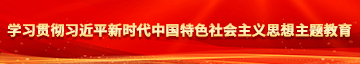 鸡巴插入骚逼的视频学习贯彻习近平新时代中国特色社会主义思想主题教育